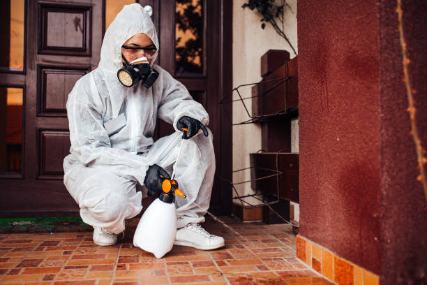 Reliable Cockroach Control contractor in Muleshoe, TX by Nex Pest Control